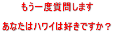 もう一度聞きます。あなたはハワイは好きですか?